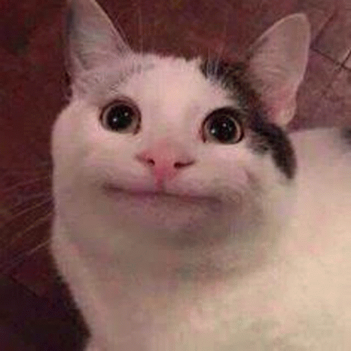Důvod 6